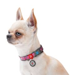 Waudog Naylon Köpek Boyun Tasması – Unicorns Desenli, 15 mm / L 23–35 cm