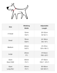 Reddingo Fang It Desenli Köpek Boyun Tasması