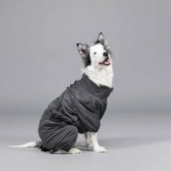 Quattro Void İçi Polarlı Köpek Yağmurluğu (Beden: 1-6)