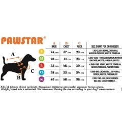 Pawstar Astrodog Köpek Yağmurluğu