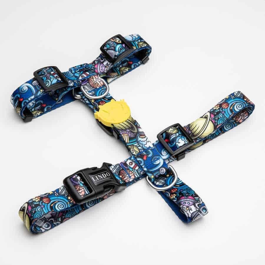 Apollo Göğüs Tasması