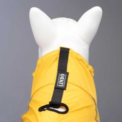 Quattro Vega Köpek Yağmurluğu (Beden: 1-6)