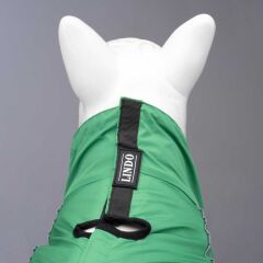 Quattro Nebula Yeşil İçi Polarlı Köpek Yağmurluğu (Beden: 1-6)