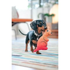 Durables Yumuşak Köpek Oyuncakları - Kanguru