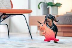 Red Dingo Durables Yumuşak Köpek Oyuncağı – Kanguru