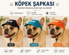 NUNBELL KEDİ VE KÖPEK ŞAPKASI  L