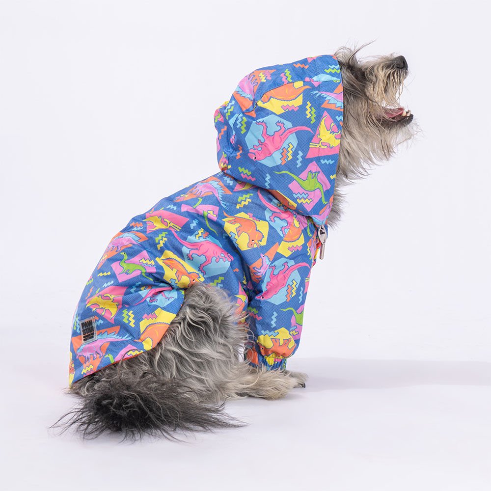Pawstar Dinosaurum Yağmurluk Köpek Kıyafeti