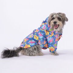 Pawstar Dinosaurum Yağmurluk Köpek Kıyafeti