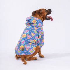 Pawstar Dinosaurum Yağmurluk Köpek Kıyafeti