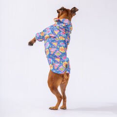 Pawstar Dinosaurum Yağmurluk Köpek Kıyafeti