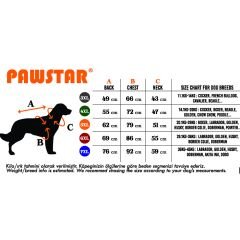 Pawstar Tonitruum Yağmurluk Köpek Kıyafeti