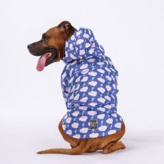 Pawstar Tonitruum Yağmurluk Köpek Kıyafeti