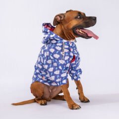 Pawstar Tonitruum Yağmurluk Köpek Kıyafeti