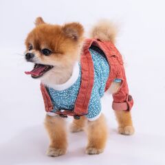 PawStar Kırmızı Denim Salopet – Küçük ve Orta Irk Köpek Tulum (2'li Set)
