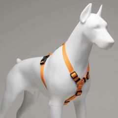 Lindodogs Royal Göğüs Tasması – Ayarlanabilir, Dayanıklı ve Şık Tasarım