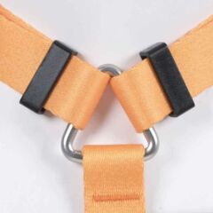 Lindodogs Royal Göğüs Tasması – Ayarlanabilir, Dayanıklı ve Şık Tasarım