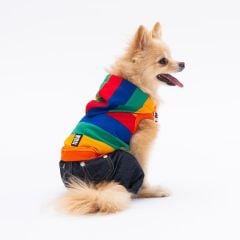 Pawstar Colored Lines Kedi Köpek Tulum – Penye Tulum (Varyantlı)