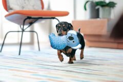 Red Dingo Durables Yumuşak Köpek Oyuncağı – Koala