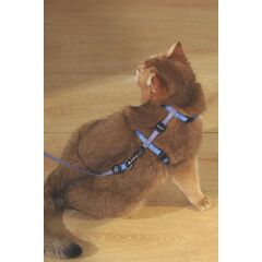 GENTLE CAT GÖĞÜS TASMASI ve GEZDİRME SET BLUE