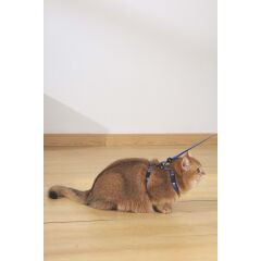 GENTLE CAT GÖĞÜS TASMASI ve GEZDİRME SET BLUE