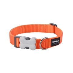 Klasik Köpek Boyun Tasması