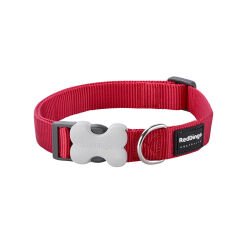 Reddingo Klasik Köpek Boyun Tasması