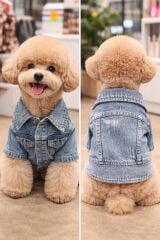 ZİGGYDOG KOT CEKET 2XLARGE