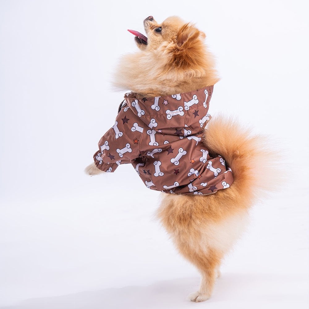 Pawstar StellaOs Köpek Yağmurluğu