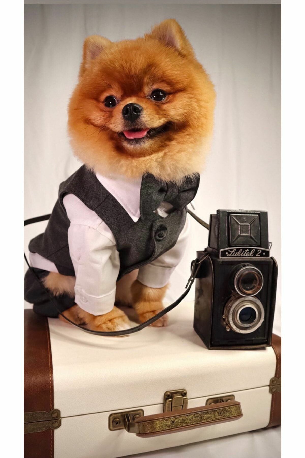 ZİGGYDOG SİYAH DÖRT BACAKLI YELEK GÖMLEK PAPYON TAKIM SMALL