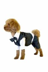 ZİGGYDOG SİYAH DÖRT BACAKLI YELEK GÖMLEK PAPYON TAKIM SMALL