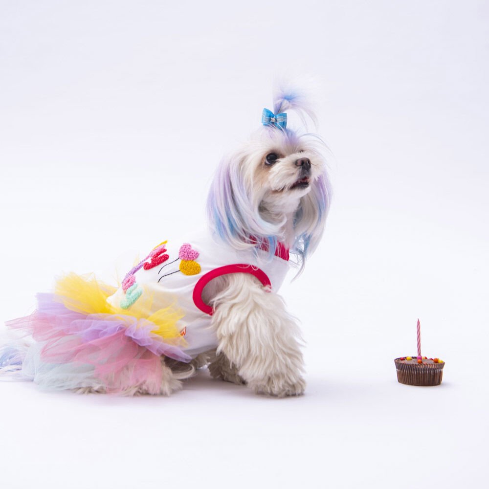 Happy Birthday Elbise MEDIUM