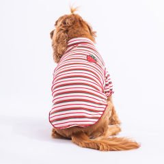 PawStar Fragola Küçük ve Orta Irk Köpek Sweat
