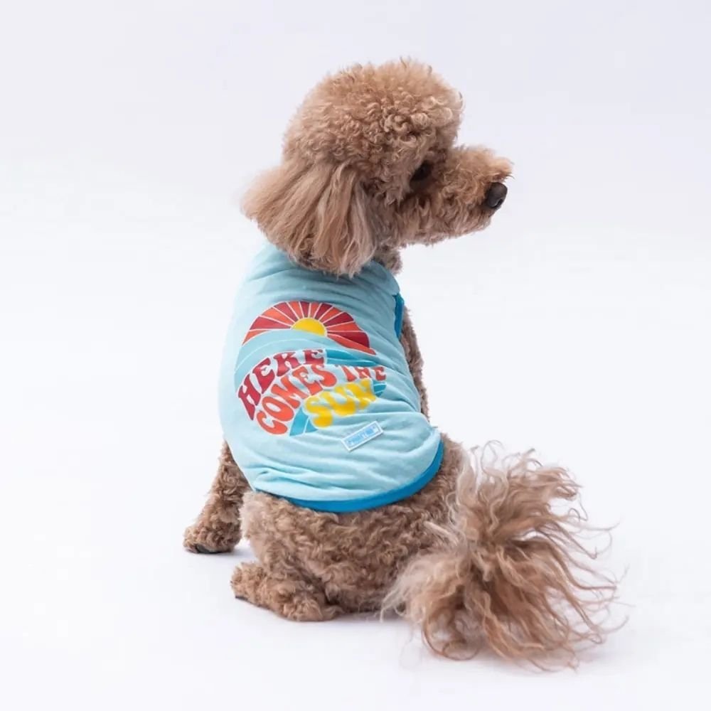 PAWSTAR Blue The Sun Xlarge