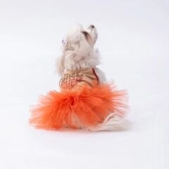 PAWSTAR Beige Girl Power Xlarge