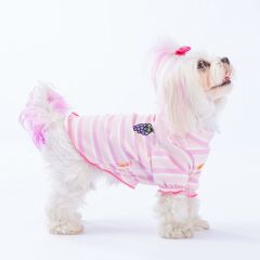 Pawstar Uwa Köpek Sweatshirt