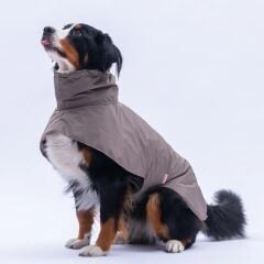 PawStar Kahverengi Colombia Prime Yağmurluk Orta ve Büyük Irklar XLARGE