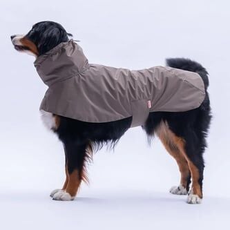 PawStar Kahverengi Colombia Prime Yağmurluk Orta ve Büyük Irklar LARGE