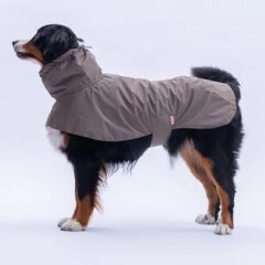 PawStar Kahverengi Colombia Prime Yağmurluk Orta ve Büyük Irklar SMALL