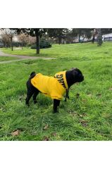 Salya Magnet Sarı Kapüşonlu Köpek Hoodie (XX-Large)