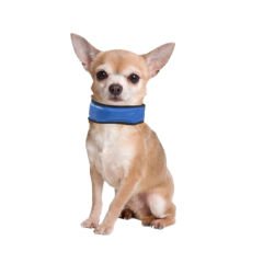 Karlie Soğutucu Köpek Boyun Bağı – Small, 15–25 cm, Mavi