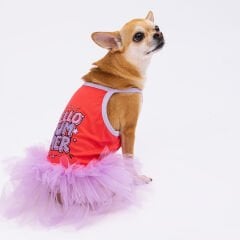 Pawstar Vermillion Hello Summer Köpek Elbisesi
