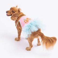 Pawstar Pink Aloha Köpek Elbisesi