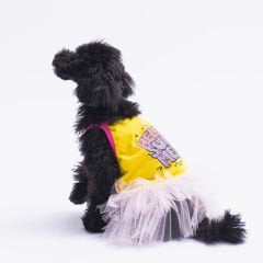 Pawstar Yellow Hello Summer Köpek Elbisesi