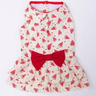 PAWSTAR BERRY CRUSH DRESS-KÖPEK ELBİSESİ MEDIUM