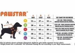 PAWSTAR BERRY CRUSH DRESS-KÖPEK ELBİSESİ MEDIUM