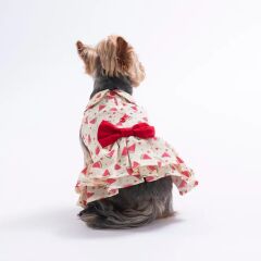 PAWSTAR BERRY CRUSH DRESS -KÖPEK ELBİSESİ LARGE