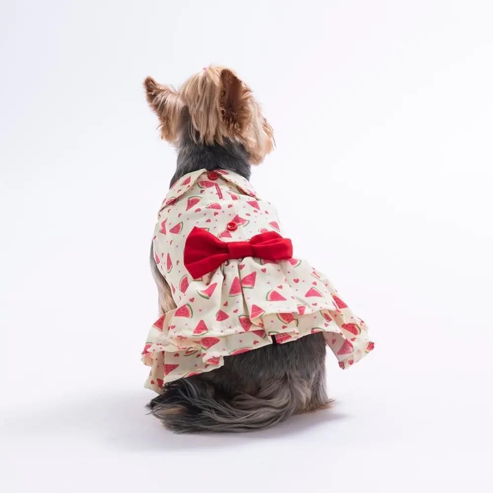 PAWSTAR BERRY CRUSH DRESS-KÖPEK ELBİSESİ SMALL