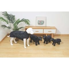 10366908 M-PETS GENTLE DOG WINTER JACKET BLACK/BLUE (XL)