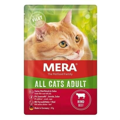 Tahılsız Biftekli Pouch Kedi Konservesi 85 Gr