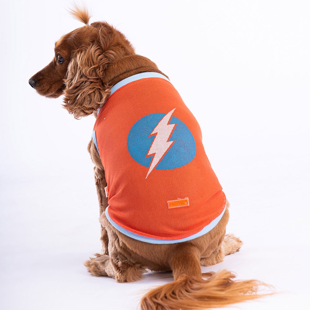 Flash Mesh T-Shirt